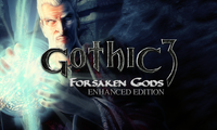 Gothic 3: Forsaken Gods Enhanced Edition