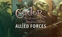 Eador. Masters of the Broken World - Allied Forces